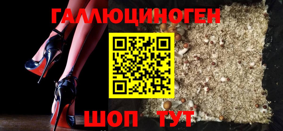 Псилоцибиновые грибы Magic Shrooms  Вход с VPN  где продают   Искитим 